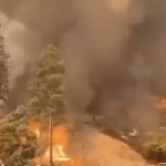 Incêndio florestal no Canadá faz mais de 30.000 deixarem suas